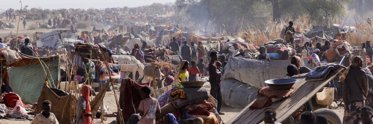 Continuing killings of civilians in El Fasher and Abu Shouk camp