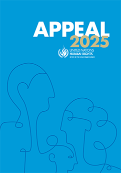 UN Human Rights Appeal 2025